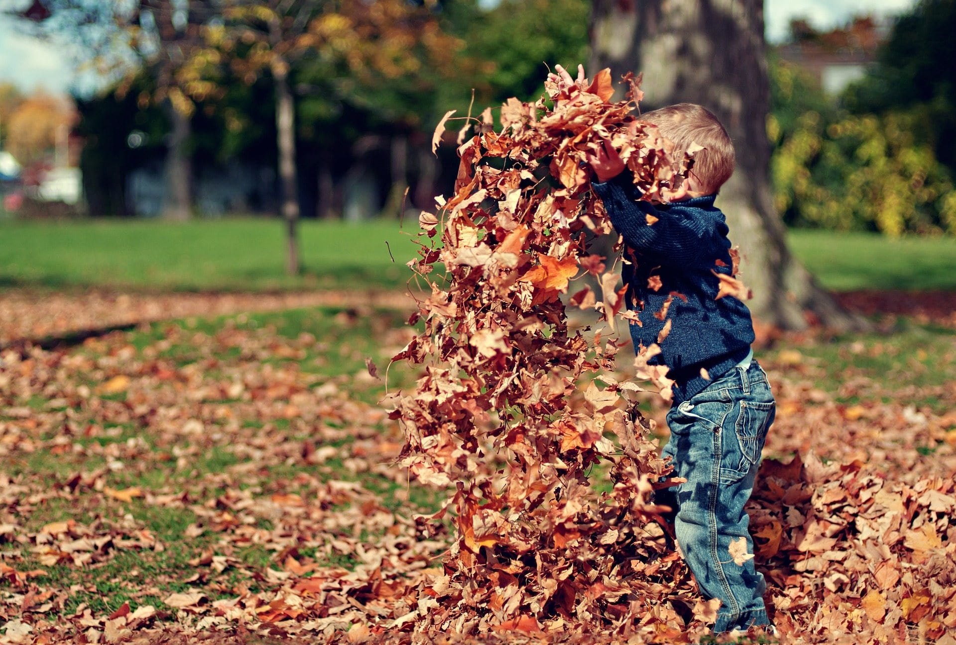 Ihre November-Highlights bei uns!