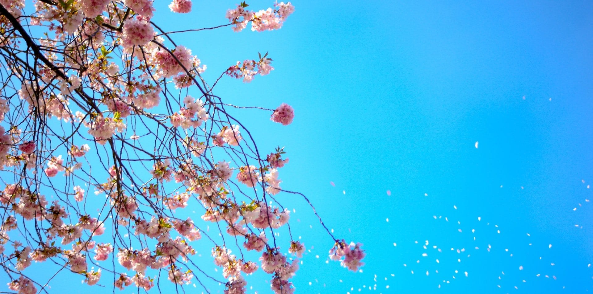 Präsenzveranstaltungen und Webinare im April und Mai 2022