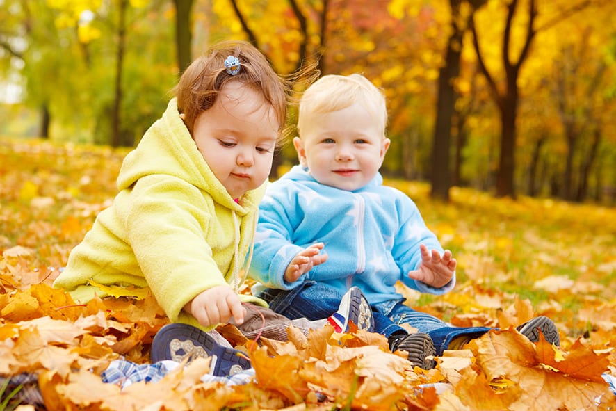Weiterbildungen in der Herbst- und Weihnachtszeit!