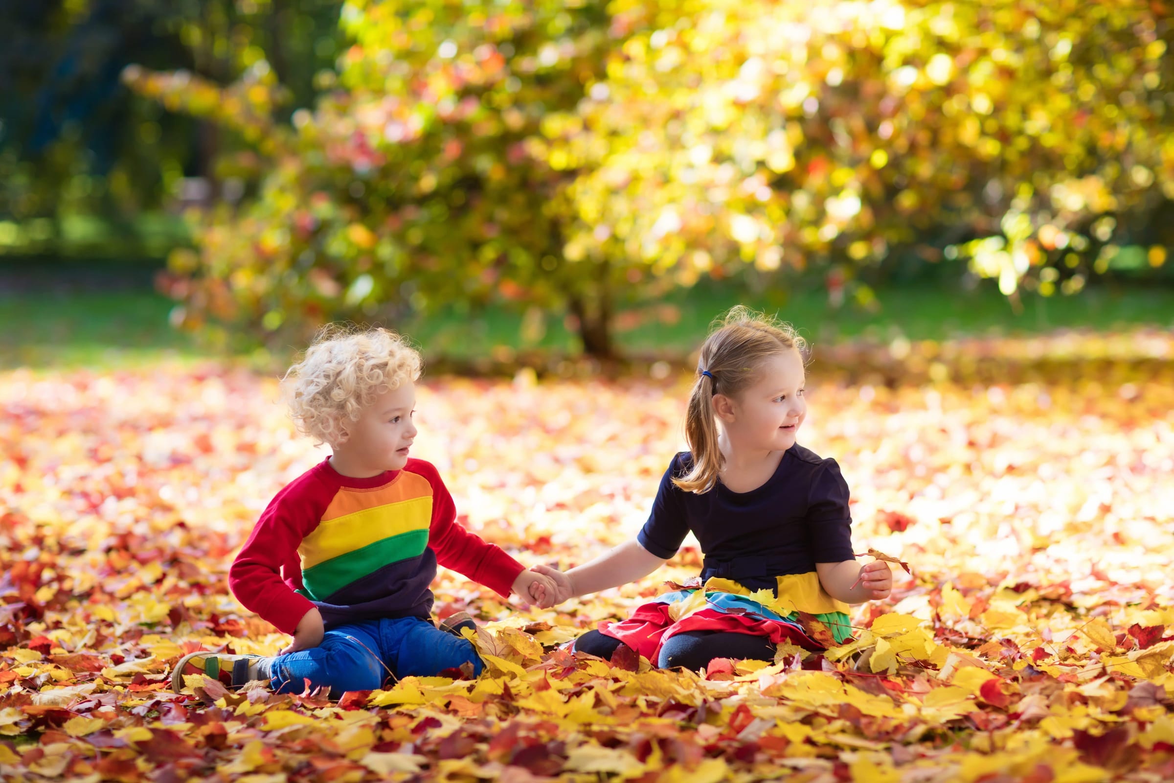 Diese Weiterbildungen erwarten Sie im Oktober!
